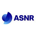 IRSN logo