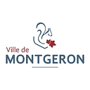 Fonction publique Territoriale logo