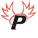 
      Paragon Cyber Solutions
     logo