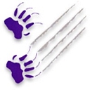 Bayfield School District logo