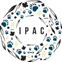 Indigenous Professional Association of Canada logo