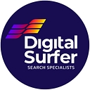 Digital Surfer logo