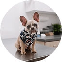 Stafford Brooks Consulting logo