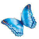 Nationwide Children's Hospital logo