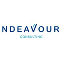 Ndeavour Consulting logo