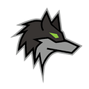 Dark Wolf Solutions logo