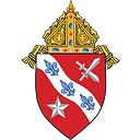 Diocese of Dallas Schools logo