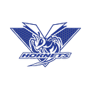 Vinita Independent School District 65 logo