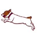 Lovell Animal Hospital logo