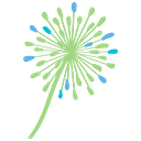 Dandelion House  logo