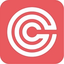Camlin Group logo