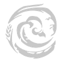 Kluskap Suliewei logo