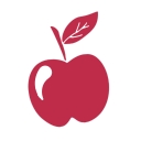 Princeton Staffing Solutions logo