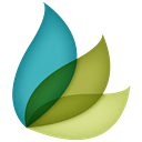 Legacy Tree Genealogists logo