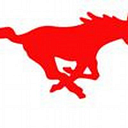 Nixon-Smiley CISD logo