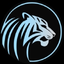 DW Executives, Inc. logo