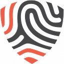 BigID logo