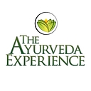 Transformative Ventures logo