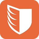 Paladin Drones logo