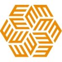 EVERSANA logo