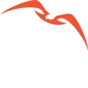 Nisos logo