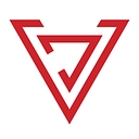 VDS Consulting Group logo