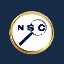NetSysCon Consulting logo