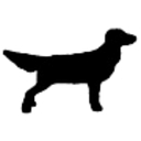 Countryside Animal Clinic logo