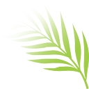 Hosanna Community Care Pty Ltd logo