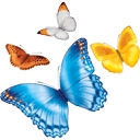 Nationwide Children's Hospital logo