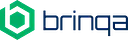 Brinqa logo