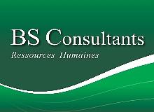 BS Consultants logo