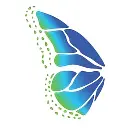 Blue Monarch Management logo