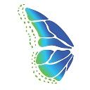 Blue Monarch Management logo