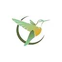 Care Hospice logo
