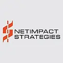 NetImpact Strategies logo