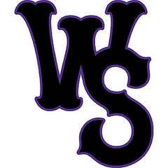 Winston-Salem Dash logo