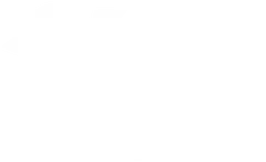 LITTLE BIRD logo