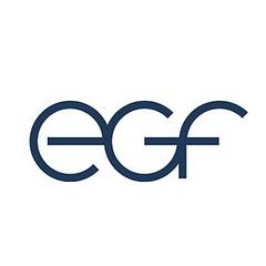 Eduard G. Fidel GmbH logo