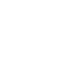 Veesion logo