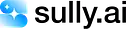 Sully.ai logo