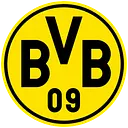 Borussia Dortmund  & Co. KGaA logo
