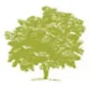Melaleuca logo