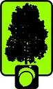 College Settlement logo