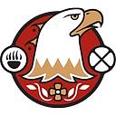 Southwestern Ontario Aboriginal Health Access Network logo