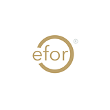 Efor Group logo