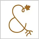TERROIRS ET VIGNERONS DE CHAMPAGNE logo