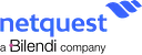 Trabajos en NETQUEST logo