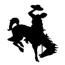 Smackover-Norphlet School District logo