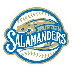 Holly Springs Salamanders logo